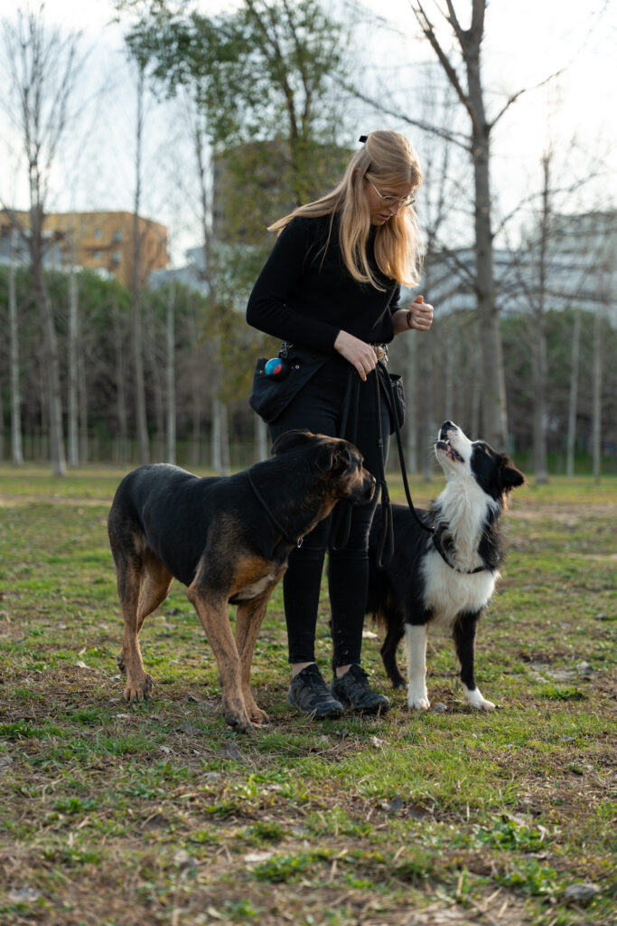 éducateur canin Pérols